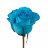 TurquoiseRose